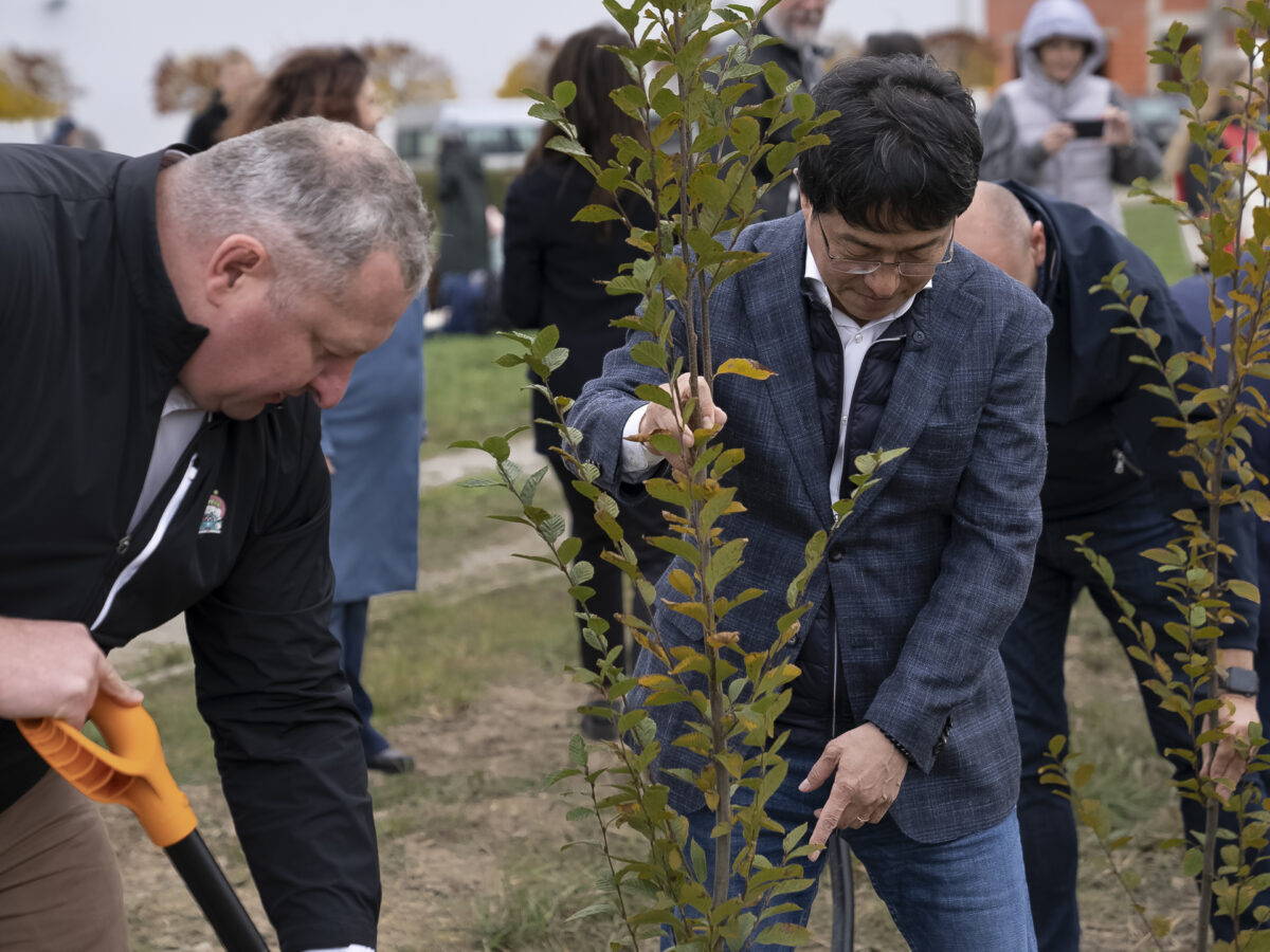 40 trees for students of Tyniec Mały