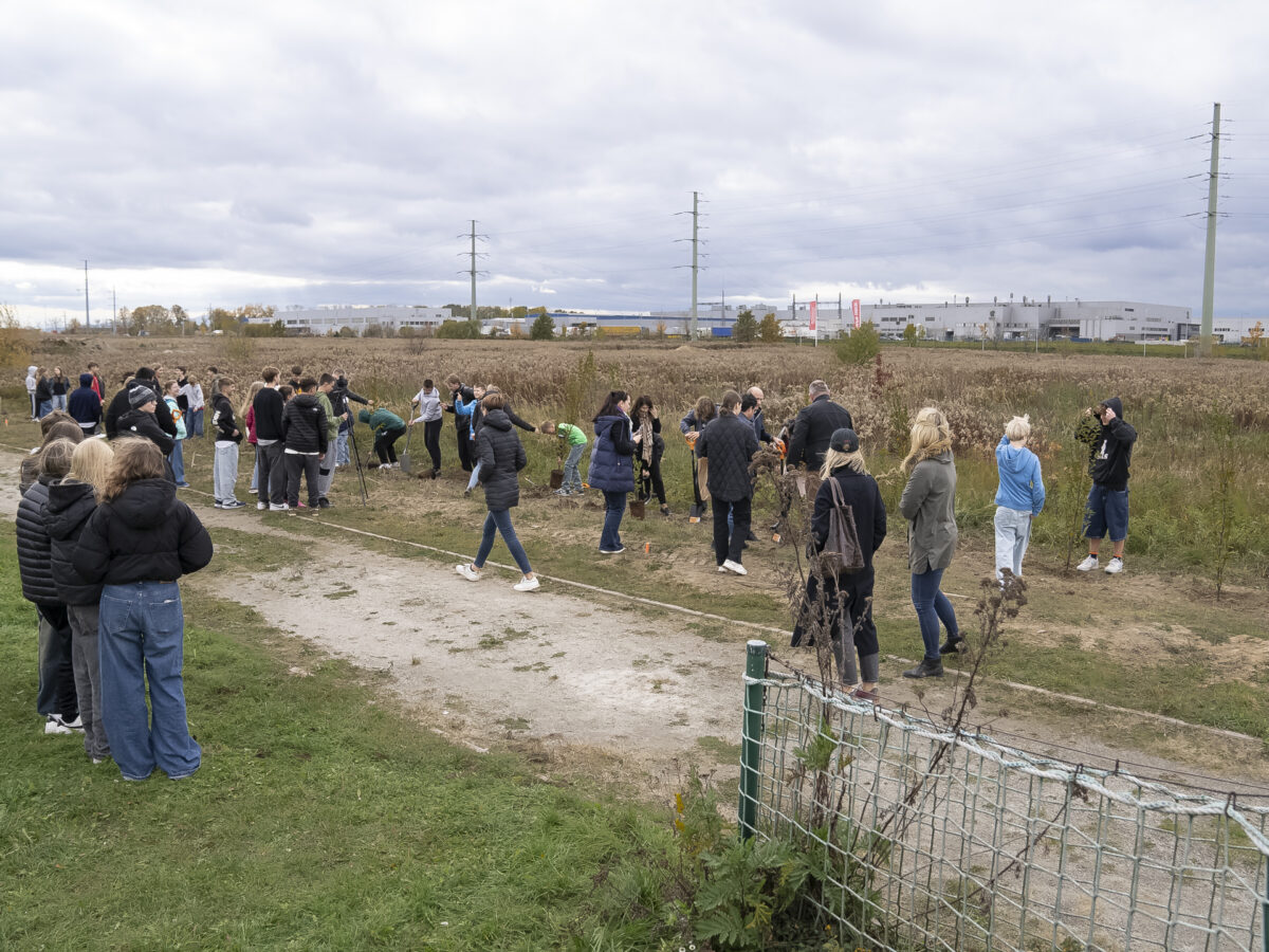 40 trees for students of Tyniec Mały